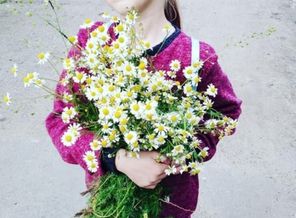 IMG_20200830_014544