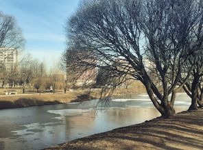 IMG_20200323_091806_693