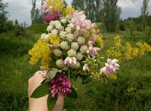 IMG_20200628_134424
