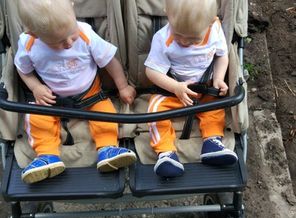 IMG_20190819_123603