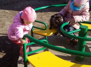 IMG_20190409_164157.jpg
