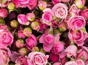 Audify_IMG_11279