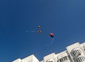 IMG_20190902_094605