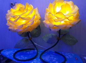IMG_20200404_013645_506