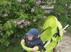 IMG_20200524_140420