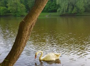 IMG_20190531_185302_729