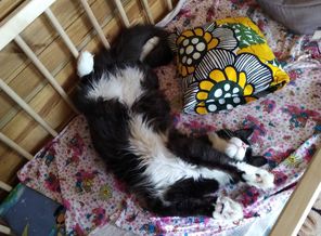 IMG_20180629_145759.jpg