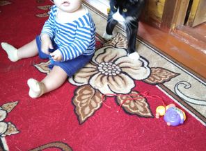IMG_20180805_132632.jpg