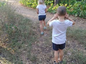 IMG_20190907_172018.jpg