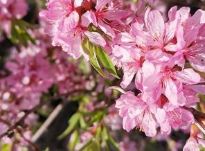 IMG_20200502_173320