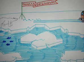 Зима с Оциллококцинум 2019