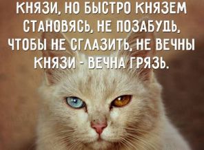 image (1)