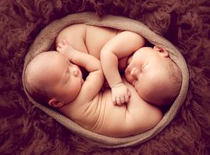 newborn-babies-2880x1800-twins-hd-4538