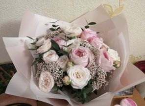 IMG_20200622_200835.jpg