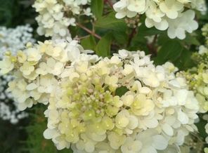 IMG_20190715_104801