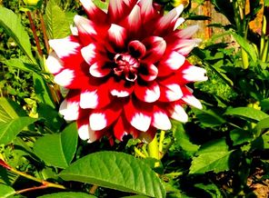IMG_20170830_145719