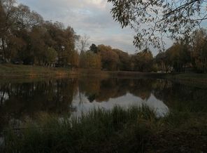 IMG_20201010_163028
