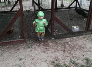 IMG_20190512_185851