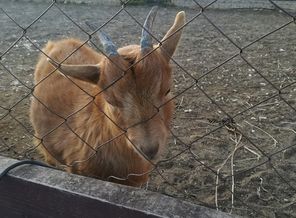 IMG_20191012_180159