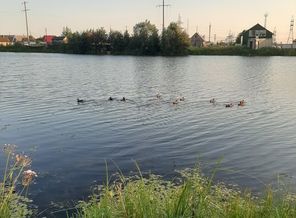 20190812_191019