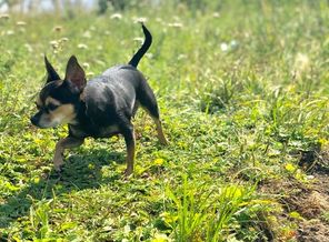 IMG-20190818-WA0010