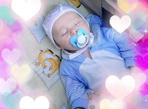 PicPlus_1601049910798
