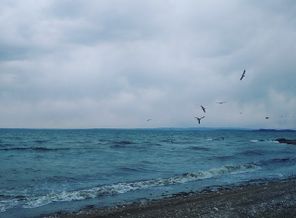 IMG_20190405_193659_759