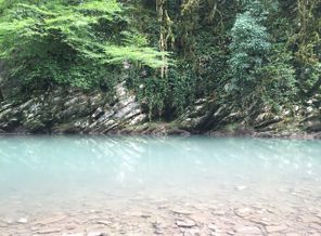 20160703_201327_IMG_0309