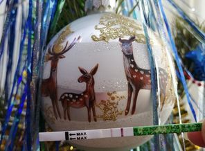 IMG_20201222_154716_1608647717893