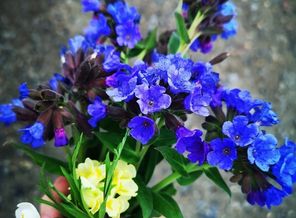 IMG_20200428_210042_517