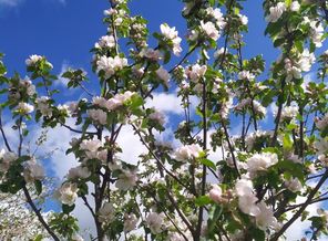 IMG_20200520_091259