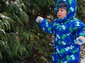 IMG_20191203_154801_642