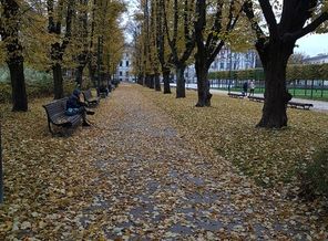 20201101_160310_1604265203635