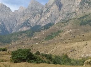 IMG-20190824-WA0013