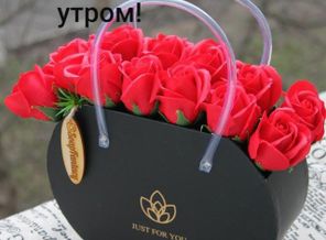 IMG-20200813-WA0152
