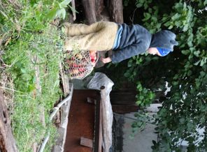 DSC03043.JPG