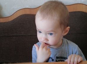 IMG-e975216c95d4c9d77f2da8c0d920692a-V.jpg