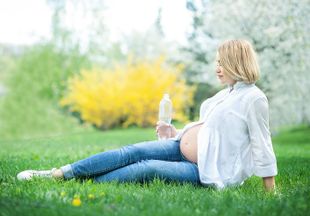 Слива при беременности: польза и вред