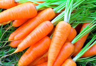 Можно ли морковь при грудном вскармливании