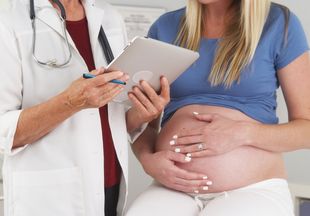 Щавель при беременности: польза на разных сроках гестации, противопоказания