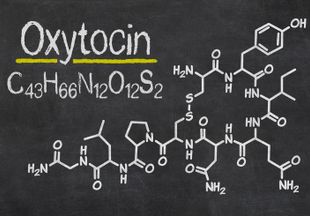 Механизм действия окситоцина при родах и возможные противопоказания