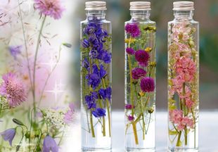 Цветы + масло: как сделать «живой» гербарий, который станет украшением вашего интерьера