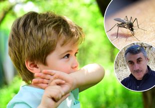Доктор Комаровский пояснил, как помочь пострадавшему от укуса насекомого