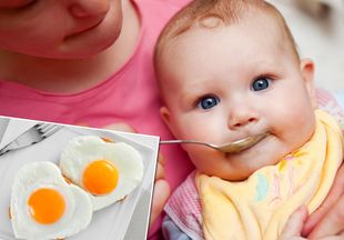Чтобы не было аллергии: нутрициолог пояснил, яйца каких птиц стоит вводить в прикорм