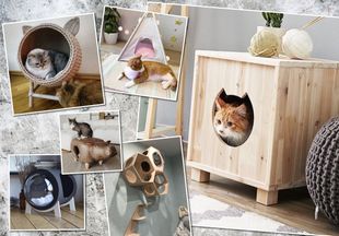 Это просто рай: 25 домиков для кошек, которые удивляют