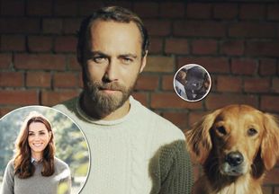50 секунд восторга: брат Кейт Миддлтон показал самое трогательное видео с 6 щенками