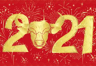 Гороскоп 2021 по году рождения и животному: каким будет год Быка?