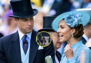 Как обычная семья: принц Уильям и Кейт Миддлтон с детьми полетели к королеве вместе с простыми пассажирами