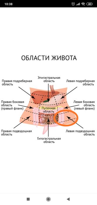 Boli Vnizu Zhivota Sleva Puziki Davajte Obshatsya