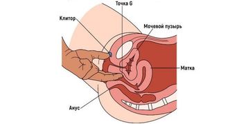 Где находится точка G и как с ее помощью получить оргазм? (18+)